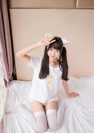 狐狸第一季电视剧免费观看高清