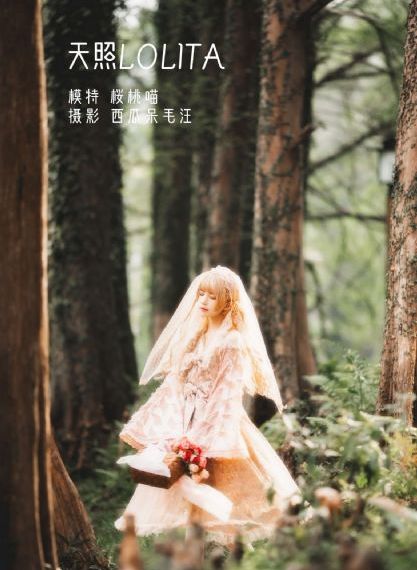 夸克满天星在线观看