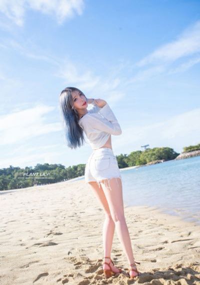 勇敢的女人们电视剧