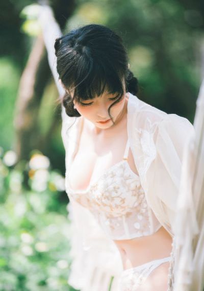 电视剧《安家》免费播放